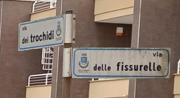 FoceneIl Focolare住宿加早餐旅馆 外观 照片